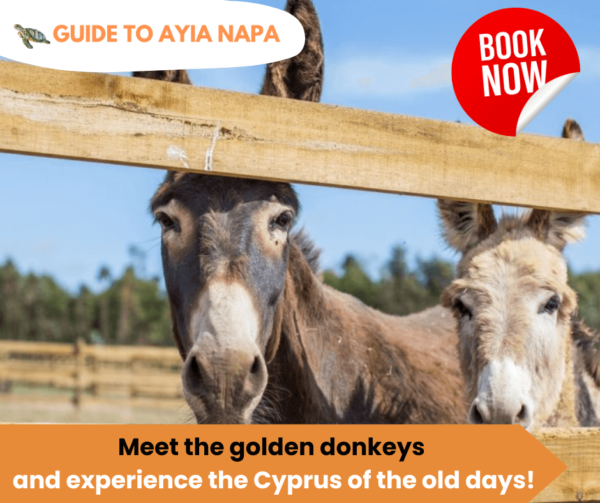 Lefkara Village, Donkey Farm and Camel Park Tour by Bus from Ayia Napa, Protaras, and Larnaca - Image 2