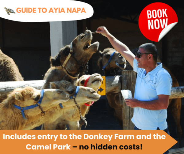 Lefkara Village, Donkey Farm and Camel Park Tour by Bus from Ayia Napa, Protaras, and Larnaca - Image 4