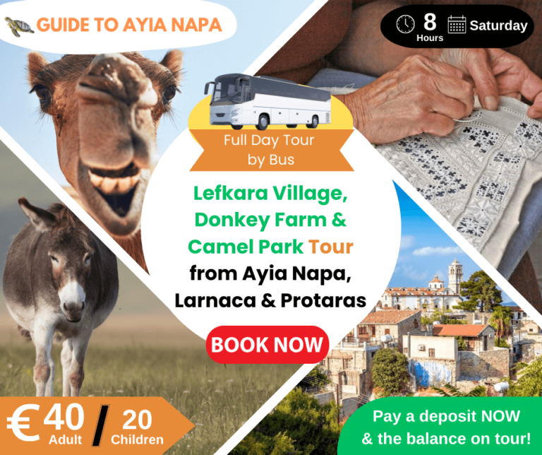 Lefkara Village, Donkey Farm and Camel Park Tour by Bus from Ayia Napa, Protaras, and Larnaca