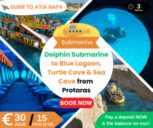 Dolphin Submarine to Blue Lagoon, Turtle Cove & Sea Cave from Protaras