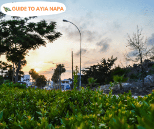 Cultural Winter Programme