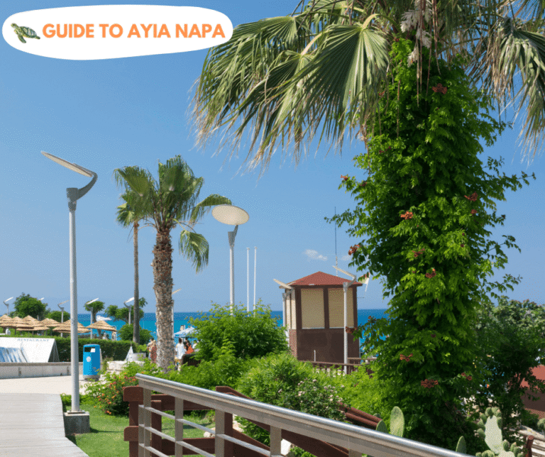 The Best 2-star Hotels in Ayia Napa