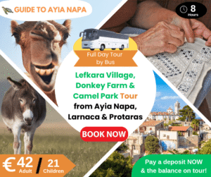 Lefkara Village, Donkey Farm and Camel Park Tour by Bus from Ayia Napa, Protaras, and Larnaca